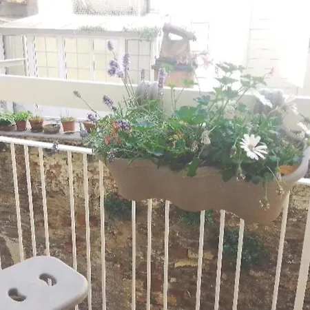 Elegant, Cozy, Between The Centre And The Seaside Daire Trieste