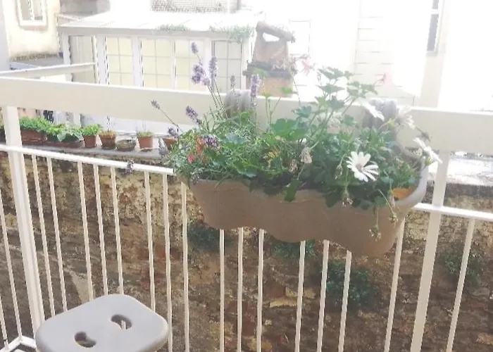 Elegant, Cozy, Between The Centre And The Seaside Apartamento Trieste